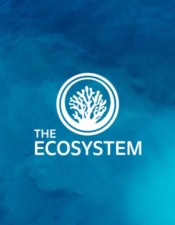 The Ecosystem logo design on an ocean background
